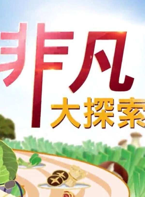 P站精选不传之秘黑丝家教老师真人启蒙性教育请在我的身体里射精 - 性探索